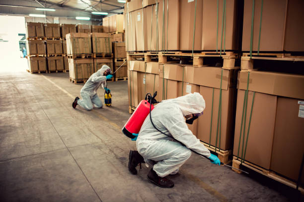 Best Best Pest Control Companies  in Apple Creek, OH
