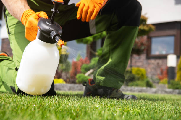 Wildlife Control Services in Apple Creek, OH