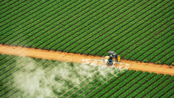 Best Pest Removal Services  in Apple Creek, OH