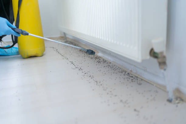 Professional Pest Control in Apple Creek, OH