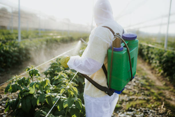 Best Exterminator Services  in Apple Creek, OH